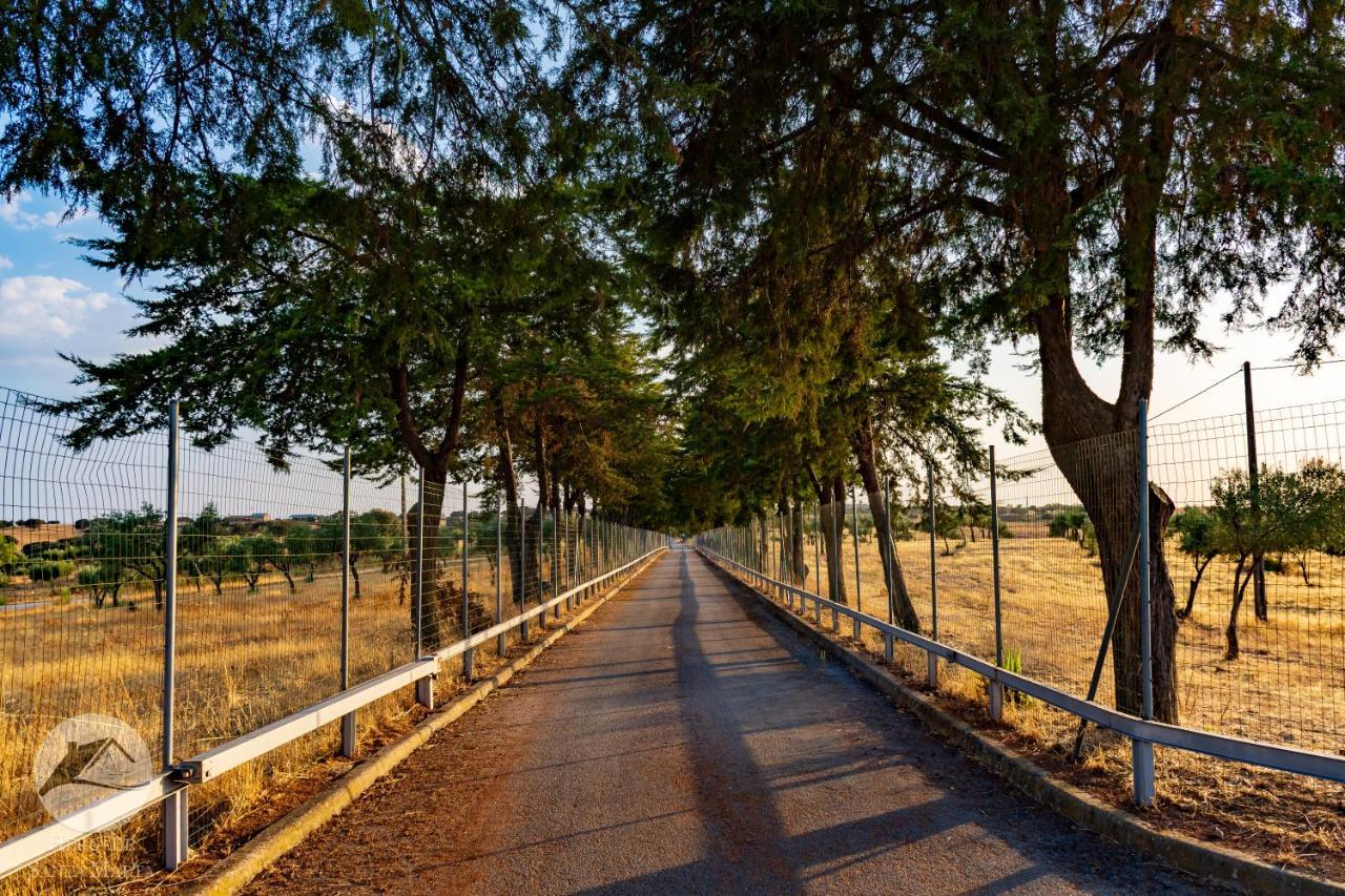 Alojamento Local Santa Marta Zebreira Dış mekan fotoğraf